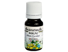 ������������ �����