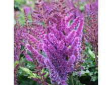 �������� ��������� ����� �� ���.jpg