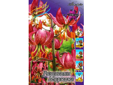 136,7���. ����� ������� �������(�������� ���� �� 2 ��., ����������� ����� 1��.).jpg