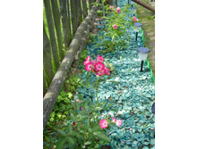 Grand-Duc Jean (1).JPG