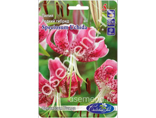 ��������� �����.jpg