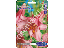 ���� ��������.jpg