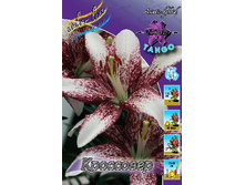 21,9���. ����� ���������(�������� ���� �� 7 ��., ����������� ����� 1��.).jpg