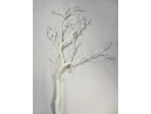 11/0295� ����� ������