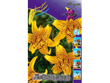 40,86���. ����� ���������(�������� ���� �� 5 ��., ����������� ����� 1��.).jpg