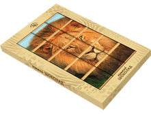 0260_���������� ���� �������� ����� � ������������ - 75�_��� ����