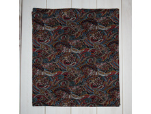 FX 100 ��� 2.jpg