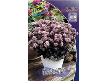 155,1���. ������ ��������(�������� ���� �� 1 ��., ����������� ����� 1��.).jpg