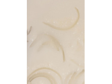 ��������� ������.