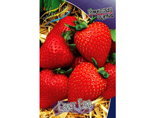 47,28���. ��������� ������� ���� ���(���������� ������ ������ ���������� �� 5 ��.).jpg