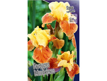 95,3���. ���� ���������� ������ ������(�������� ���� �� 2 ��., ����������� ����� 1��.).jpg