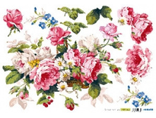 Renkalik ������ ������� ��� �������� 25 �/�2, 35X50 ��, 5�/��, ������� ���