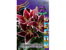 37,4���. ����� ����� ����(�������� ���� �� 5 ��., ����������� ����� 1��.).jpg