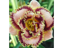 221,5���. �������� �������� �����(�������� ���� �� 1 ��., ����������� ����� 1��.)���16.jpg