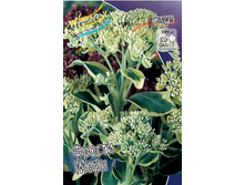 88,8���. ������ ������ ����(�������� ���� �� 1 ��., ����������� ����� 1��.).jpg