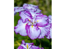 246,4���. ���� ���������� ����������(�������� ���� �� 1 ��., ����������� ����� 1��.)���16.jpg