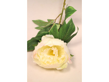 401/0464� ���� �����