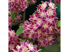 127���. ������ ���������� �����.jpg