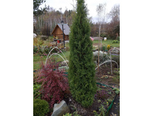 ��� �������� �������