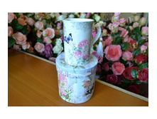 ������ ������������ "����" � ���������� ������� 1006