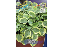 292,8���. ����� ����(�������� ���� �� 1 ��., ����������� ����� 1��.).jpg