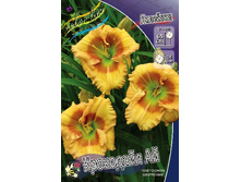 138,6���. �������� ��������� ��(�������� ���� �� 1 ��., ����������� ����� 1��.).jpg