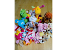 IMG 20151016 100913.jpg