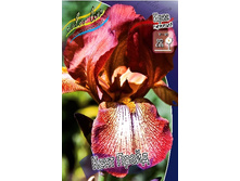 95,3���. ���� ���������� ���� �����(�������� ���� �� 2 ��., ����������� ����� 1��.).jpg