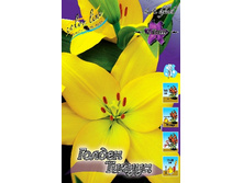 18,44���. ����� ������ ������(���������� �� ����� �������� �� 7��.).jpg