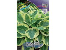 102,1���. ����� ���� ���(�������� ���� �� 1 ��., ����������� ����� 1��.).jpg