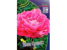 221,5���. ���� ���� ������(�������� ���� �� 1 ��., ����������� ����� 1��.).jpg