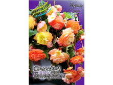 65,13���. ������� �������� ��������(�������� ���� �� 3 ��., ����������� ����� 1��.).jpg