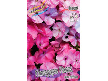 98,3���. ����� ������� ����(�������� ���� �� 2 ��., ����������� ����� 1��.).jpg