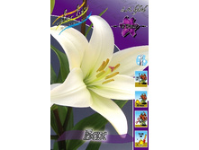 16,71���. ����� ���(���������� �� ����� �������� �� 7��.).jpg