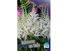 97,1���. �������� ������� �� ����(�������� ���� �� 1 ��., ����������� ����� 1��.).jpg