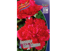 196,6���. ���� ������� ��� �����(�������� ���� �� 1 ��., ����������� ����� 1��.).jpg