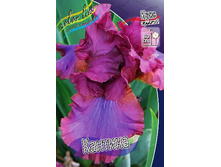 95,3���. ���� ���������� �������(�������� ���� �� 2 ��., ����������� ����� 1��.).jpg