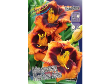 138,6���. �������� ������� ������ ���(�������� ���� �� 1 ��., ����������� ����� 1��.).jpg