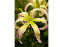 196,6���. �������� ������ ������(�������� ���� �� 1 ��., ����������� ����� 1��.).jpg