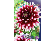 72,8���. �������� �����(�������� ���� �� 1 ��., ����������� ����� 1��.).jpg