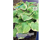 61,8���. ����� �������� �����(�������� ���� �� 2 ��., ����������� ����� 1��.).jpg