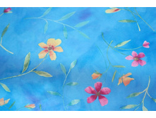 ���������� ���. 53090.6(blue).jpg