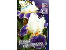 95,3���. ���� ���������� ����� ��� �������(�������� ���� �� 2 ��., ����������� ����� 1��.).jpg