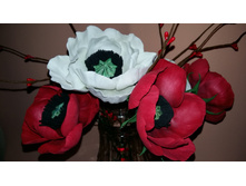 20151001 185205.jpg
