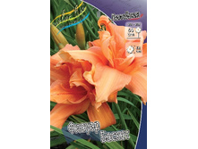 196,6���. �������� ������ ������(�������� ���� �� 1 ��., ����������� ����� 1��.).jpg