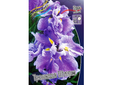 246,4���. ���� ���������� �������� �����(�������� ���� �� 1 ��., ����������� ����� 1��.).jpg