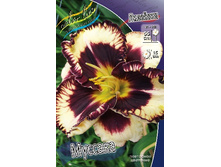 204,9���. �������� �������(�������� ���� �� 1 ��., ����������� ����� 1��.).jpg