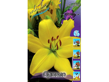 21,03���. ����� ������(�������� ���� �� 7 ��., ����������� ����� 1��.).jpg