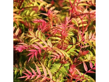 207���. �������� ���.jpg