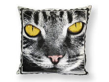 ������- ����������� ���������.jpg